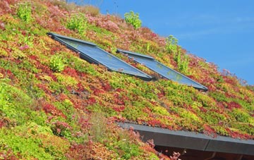 Bowley living roof systems